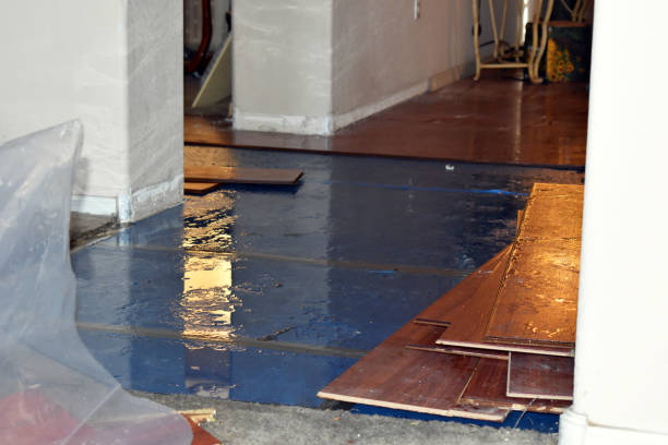 Professional Burst Pipe Cleanup technician working in Hercules, CA
